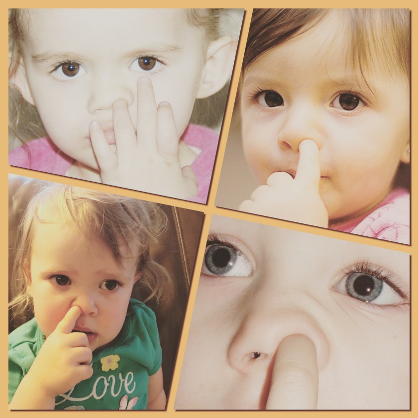 Processed with MOLDIV